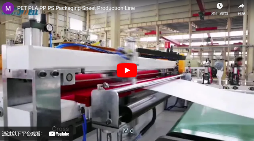 PET PLA PP PS Packaging Sheet Production Line